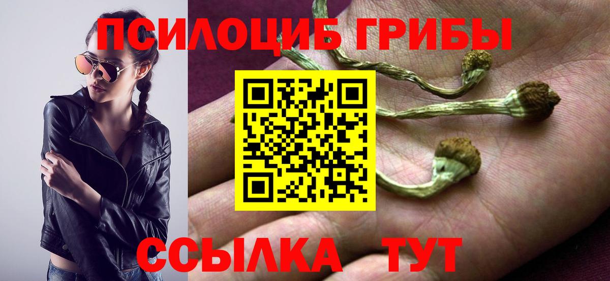 Похвистнево  Псилоцибиновые грибы GOLDEN TEACHER  Вход с VPN 
